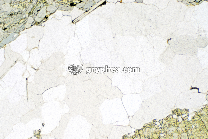 Quartz LPNA x10 - gryphea.com